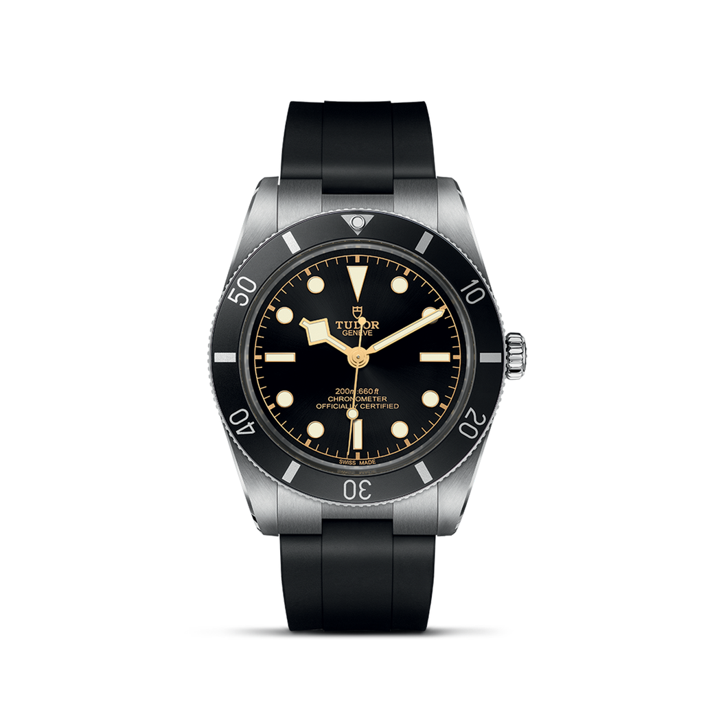 TUDOR Black Bay 54 M79000N-0002