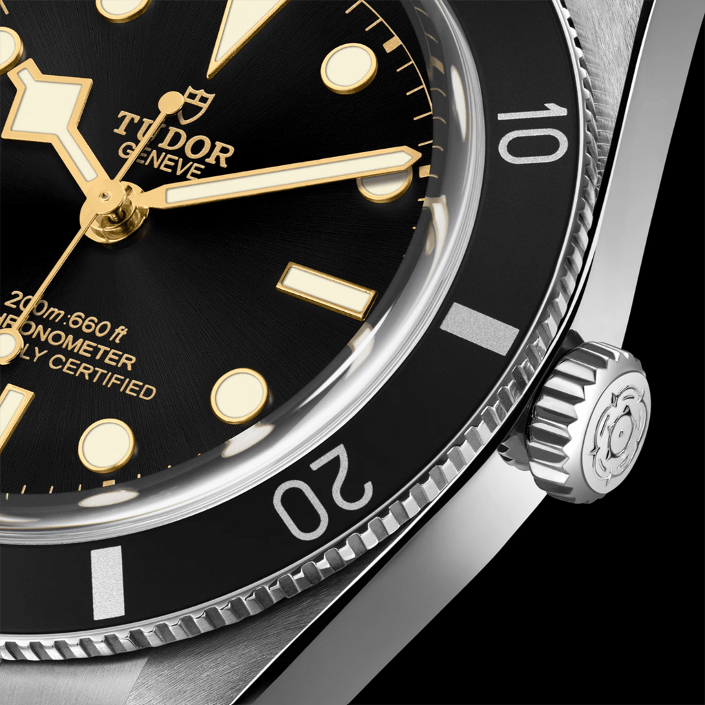 TUDOR Black Bay 54 M79000N-0002