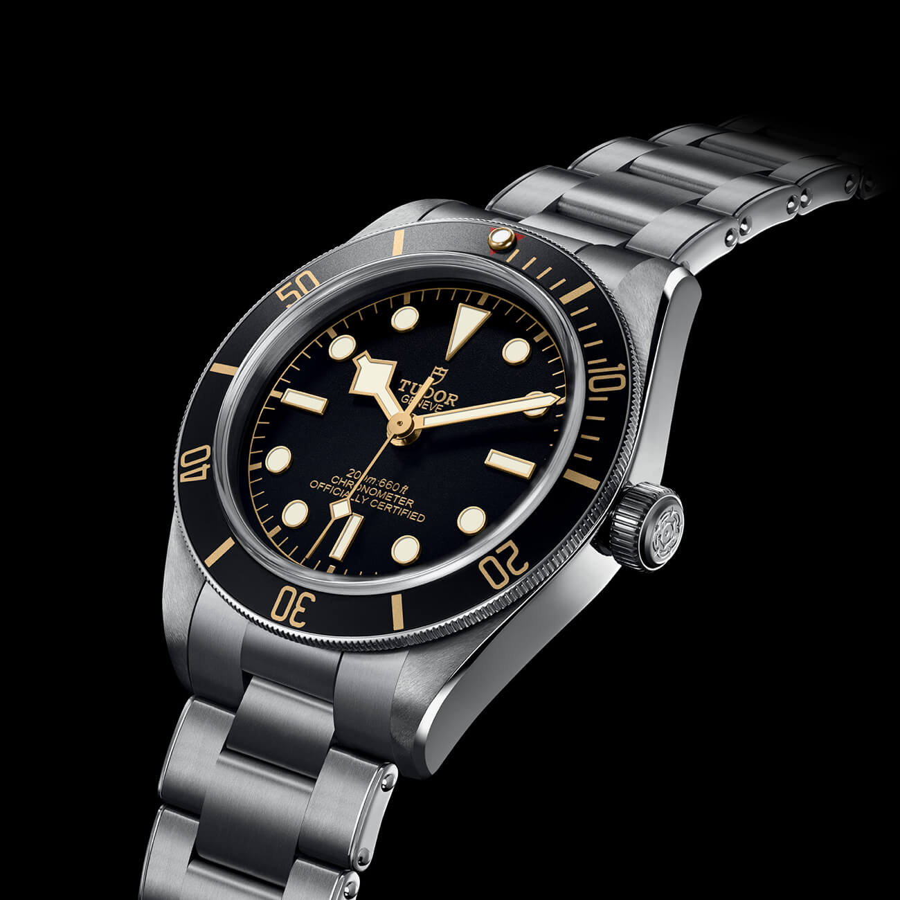 TUDOR Black Bay 58 M79030N-0001