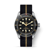 TUDOR Black Bay 58 M79030N-0003