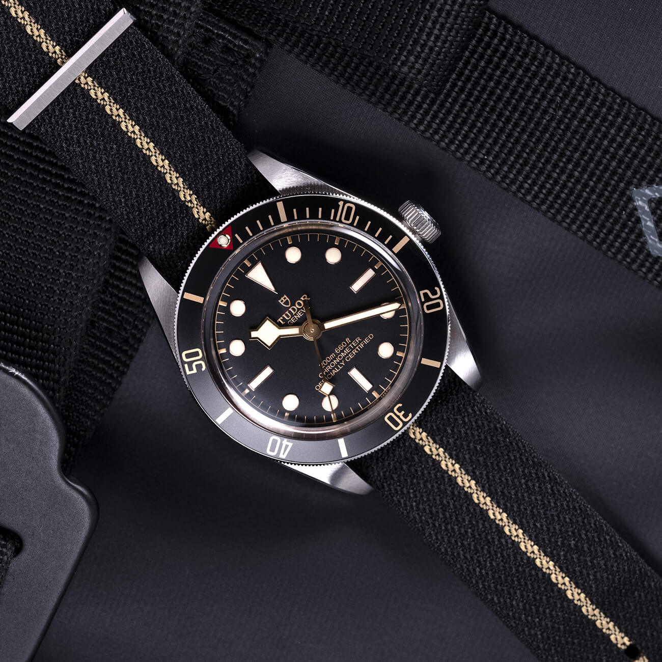 TUDOR Black Bay 58 M79030N-0003