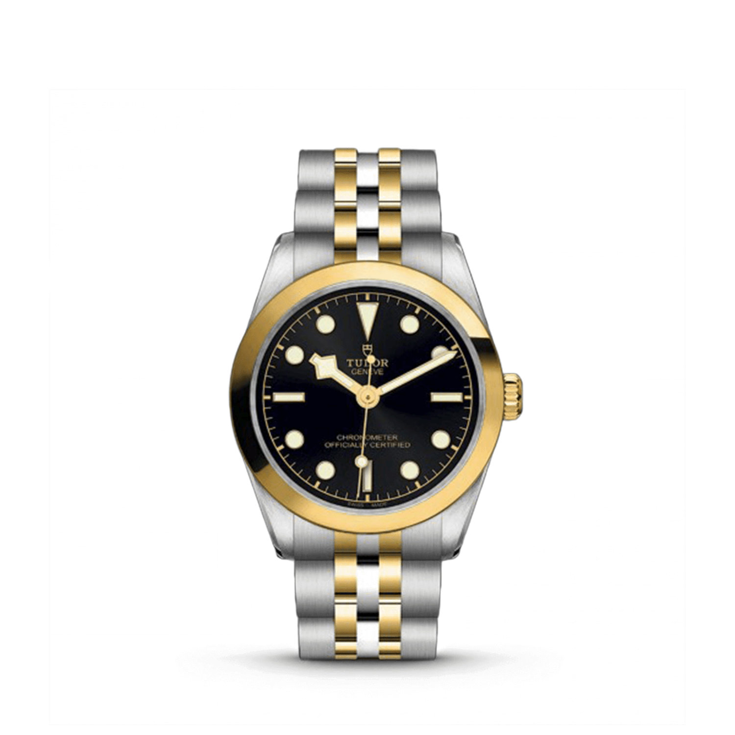 TUDOR Black Bay 31 S&G M79603-0001