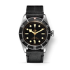 TUDOR Black Bay M79230N-0008