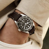 TUDOR Black Bay 58 925 M79010SG-0001