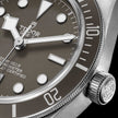 TUDOR Black Bay 58 925 M79010SG-0002