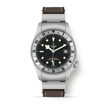 TUDOR Black Bay P01 M70150-0001