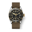 TUDOR Black Bay S&G M79733N-0005