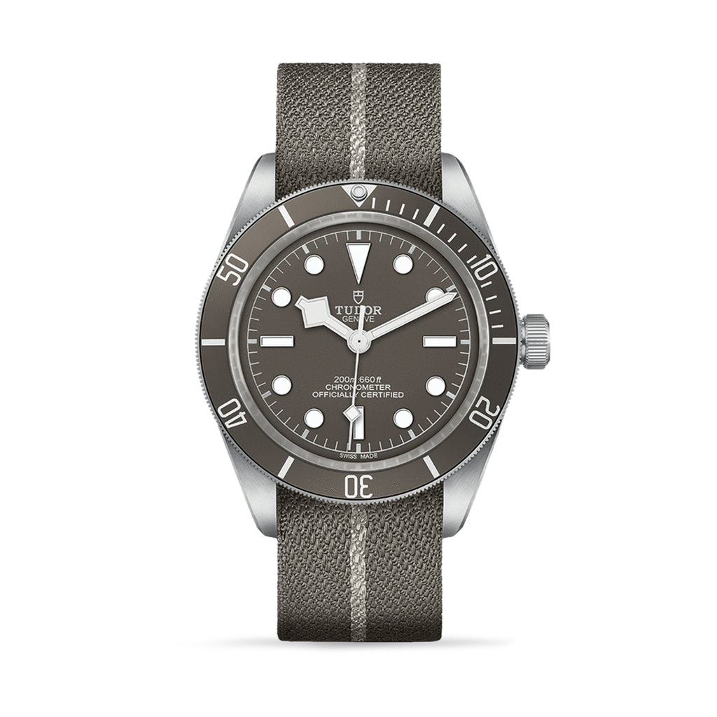 TUDOR Black Bay 58 925 M79010SG-0002