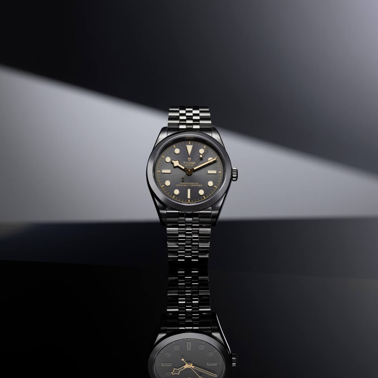 TUDOR Black Bay 39 M79660-0001