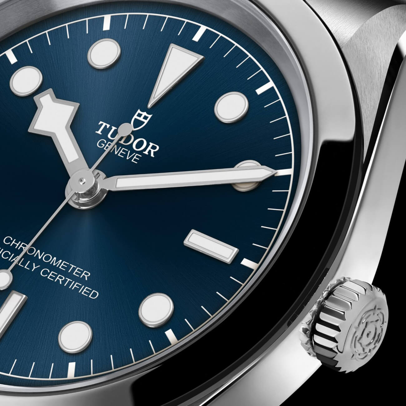 TUDOR Black Bay 31 M79600-0002