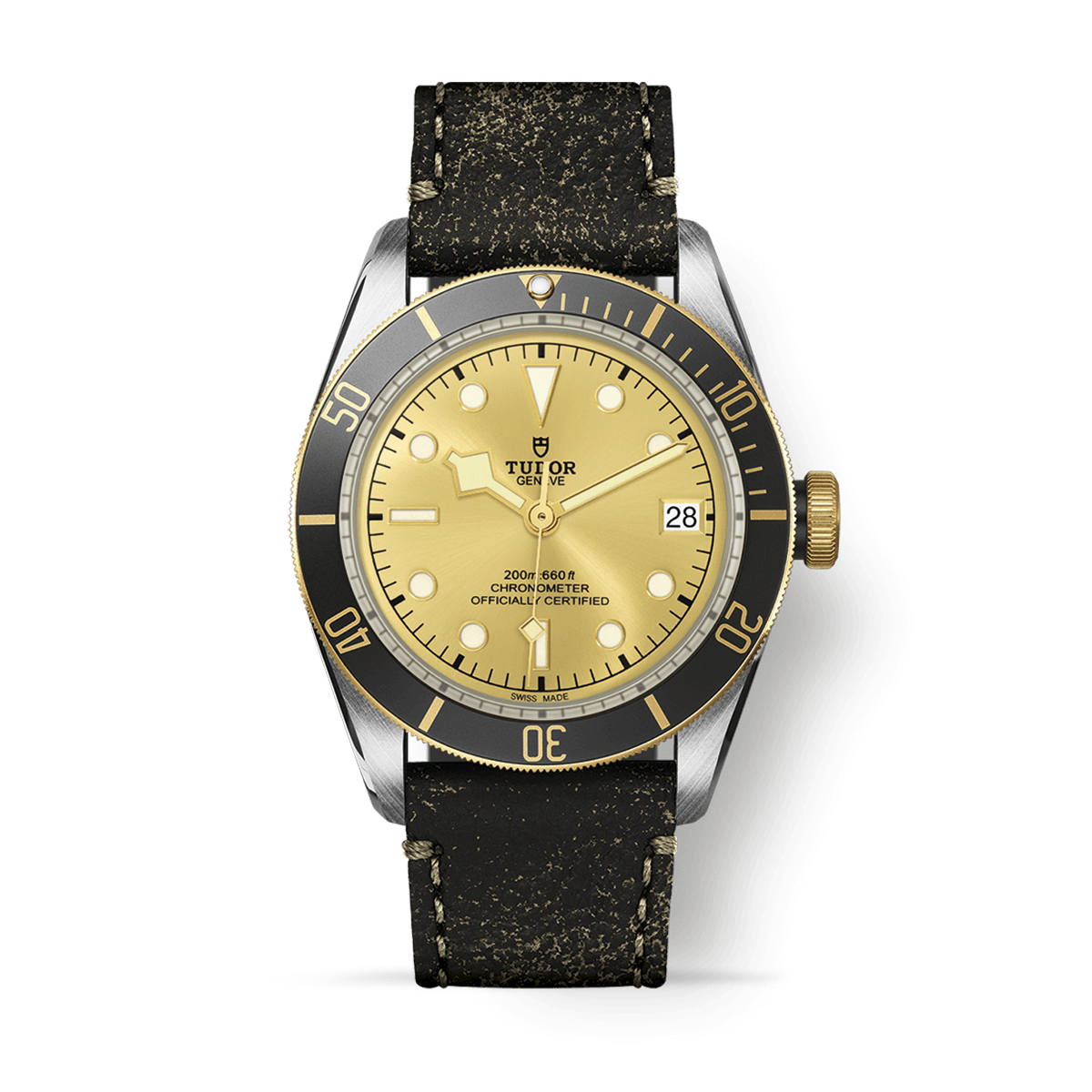 TUDOR Black Bay S&G M79733N-0003