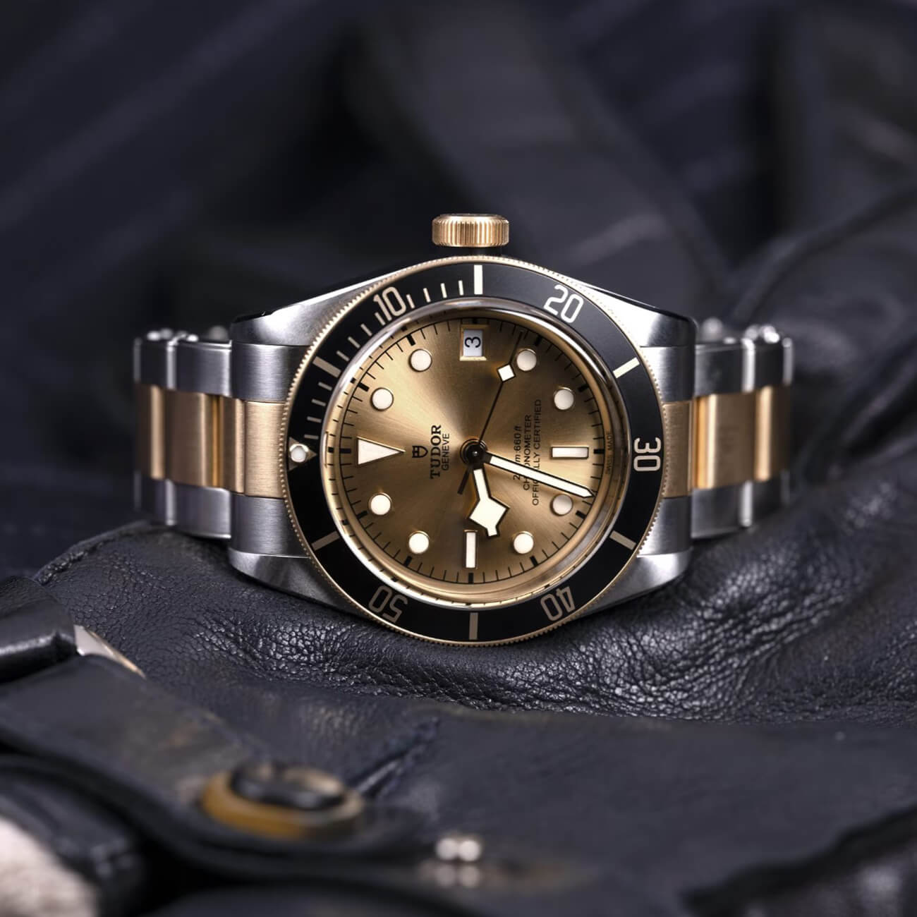 TUDOR Black Bay S&G M79733N-0004