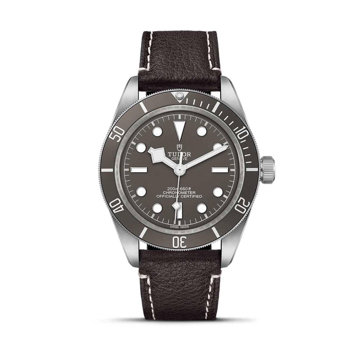 TUDOR Black Bay 58 925 M79010SG-0001