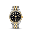 TUDOR Black Bay 36 S&G M79653-0005