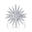 deBoulle Collection Supernova Ring in White Gold