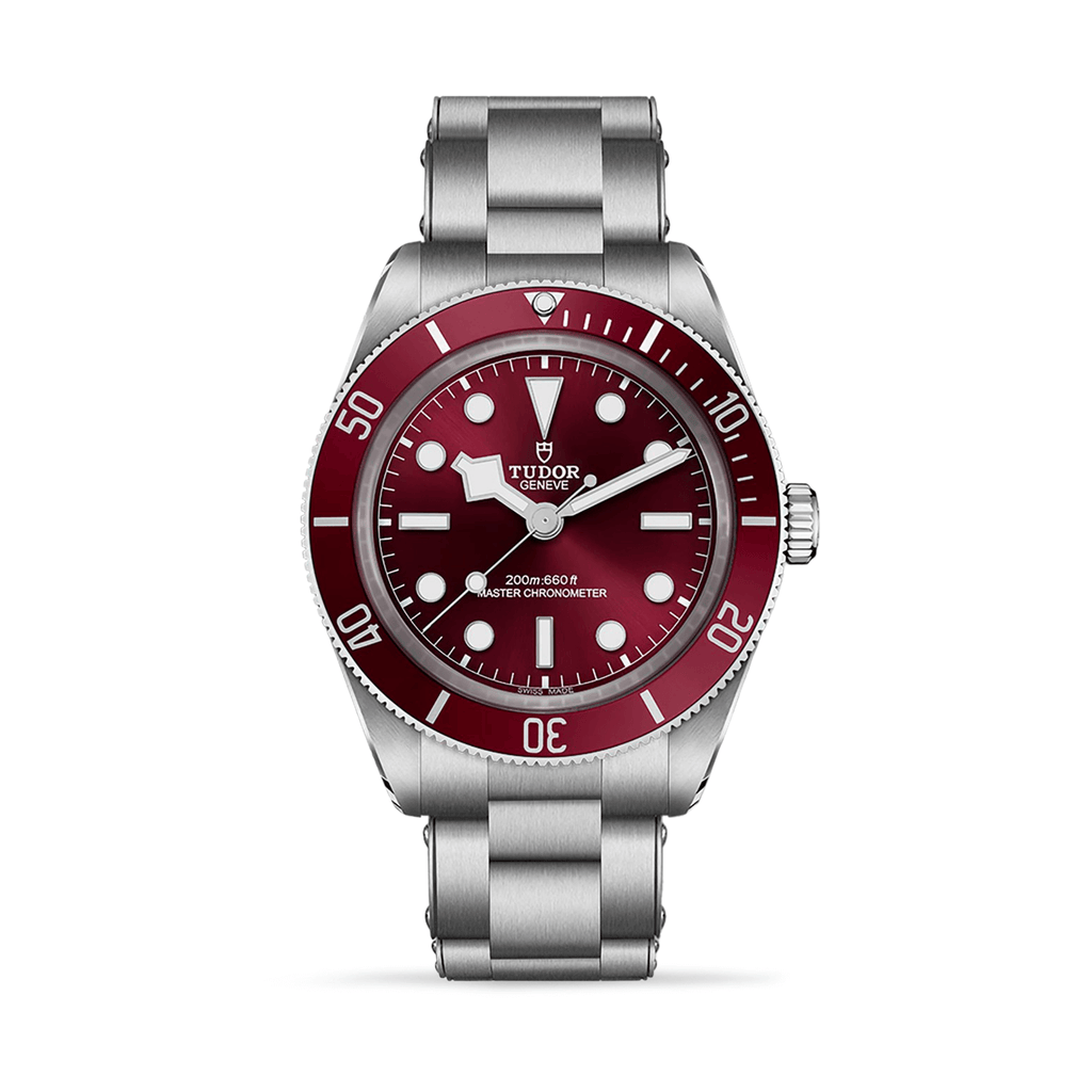 Tudor Black Bay 58 M7939A1A0RU-0002