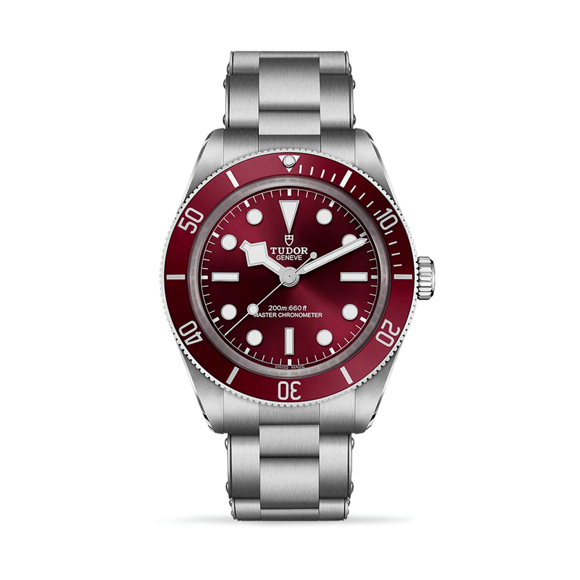 Tudor Black Bay 58 M7939A1A0RU-0002