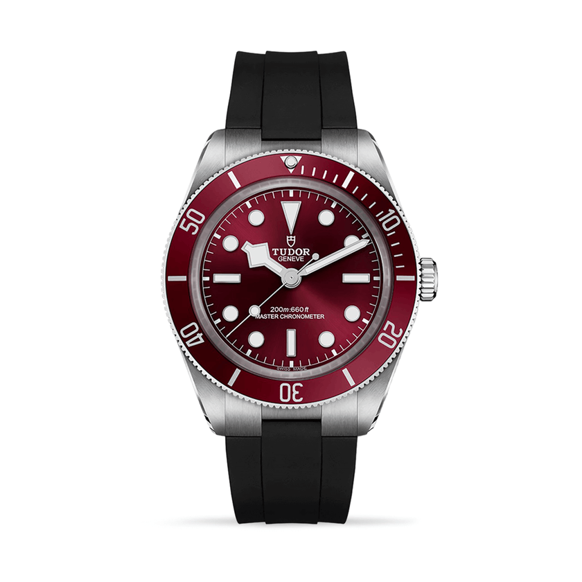 Tudor Black Bay 58 M7939A1A0RU-0003