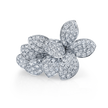 deBoulle Collection He Loves Me Ring in White Gold