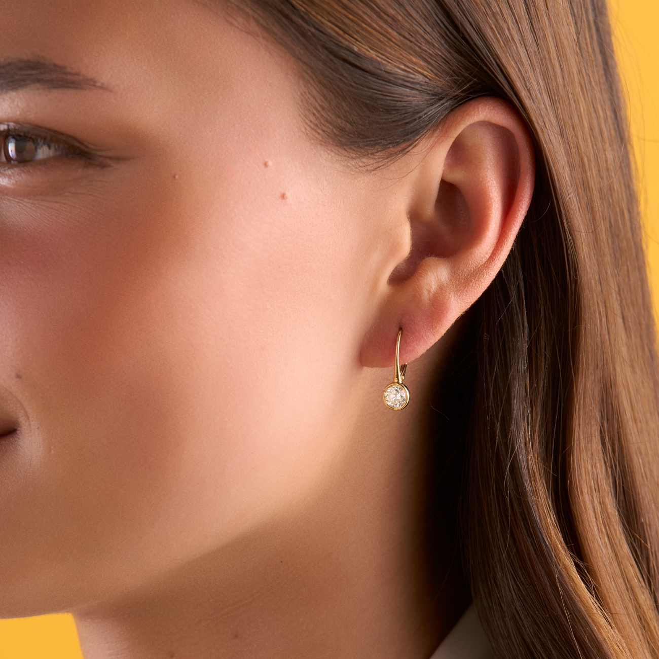 deBoulle Collection Diamond Dangle Earrings