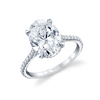 deBoulle High Jewelry Platinum Engagement Ring