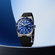 SS Tudor Black Bay 54 M79000B-0002