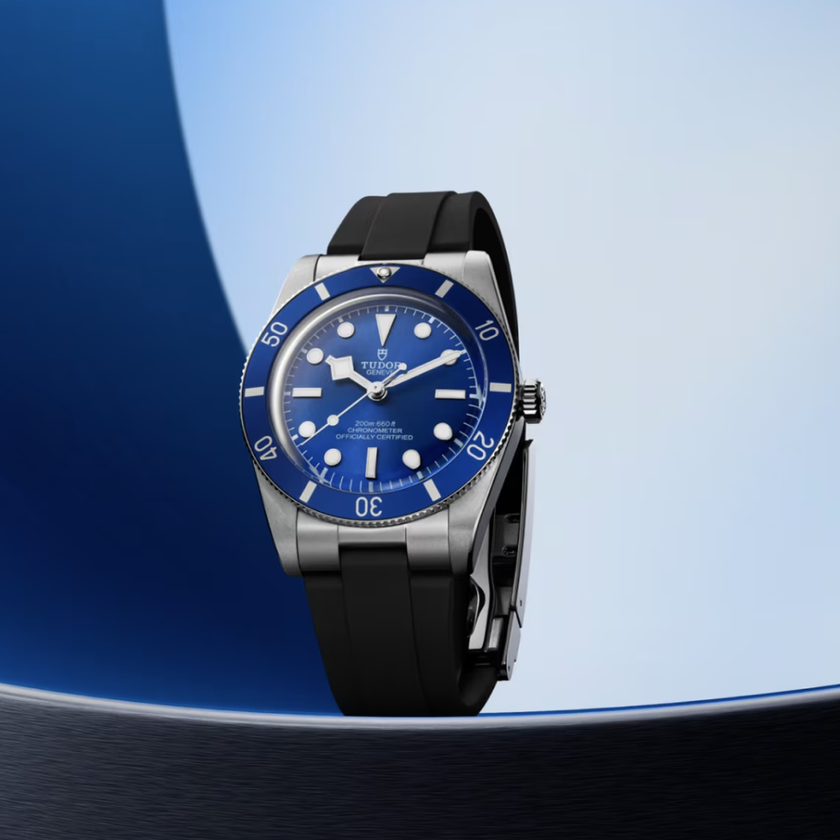 SS Tudor Black Bay 54 M79000B-0002
