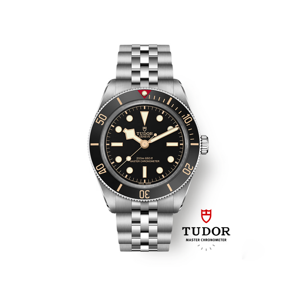Tudor Black Bay 58 M7939A1A0NU-0001