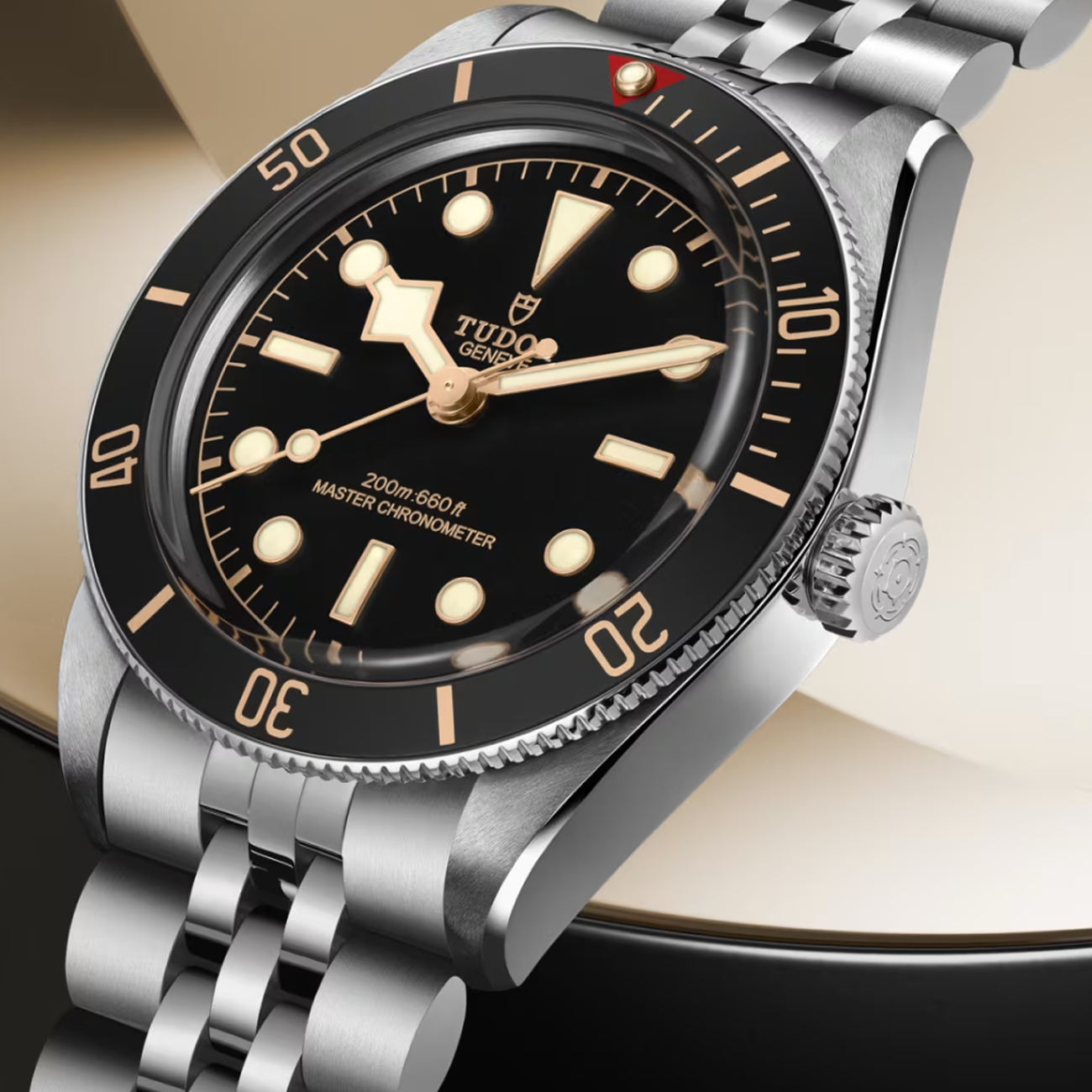 Tudor Black Bay 58 M7939A1A0NU-0001