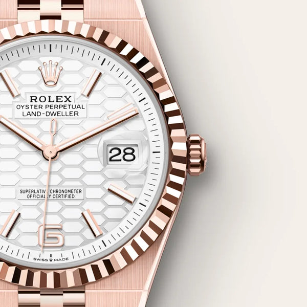 rolex Land-Dweller in 18 ct Everose gold, M127335-0001* - deBoulle Diamond & Jewelry